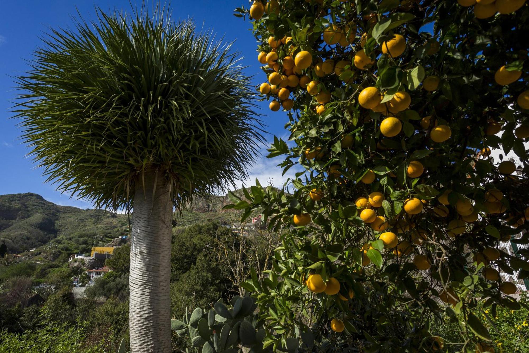 Casa Rural La Escalerilla تيرور المظهر الخارجي الصورة